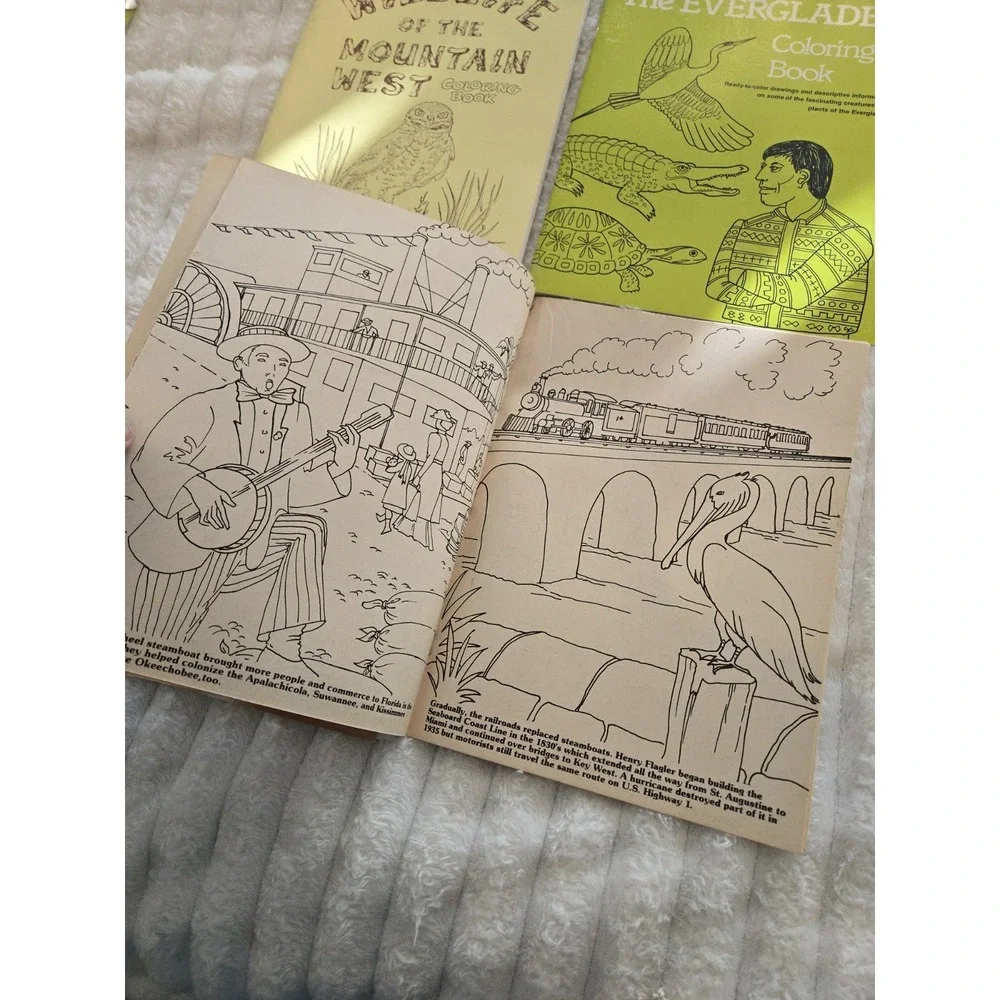 4 Nature Coloring Books Florida Audubon's Birds Everglades West Wildlife Gift